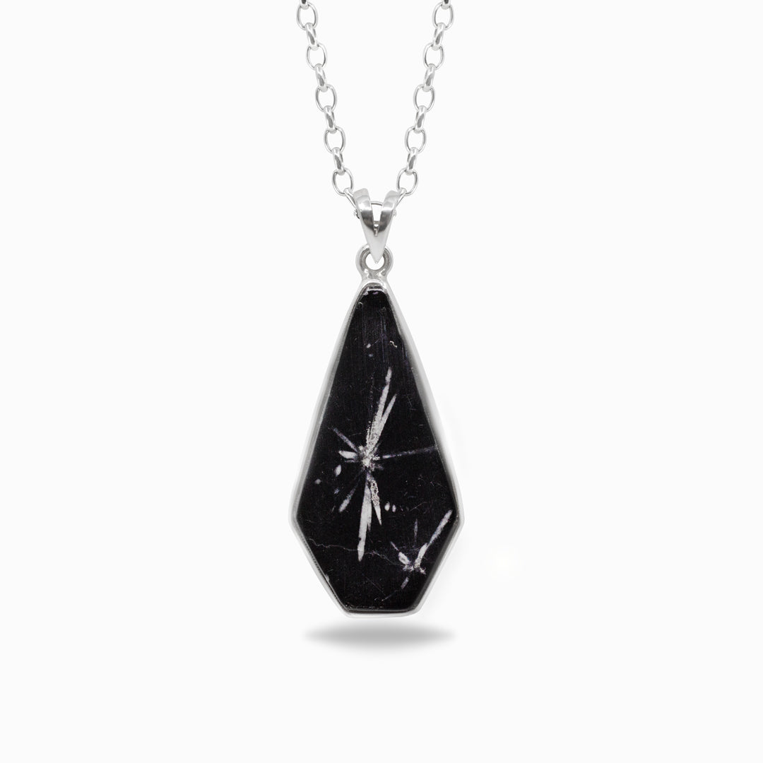 Black freeform pendant on a silver chain against a white background