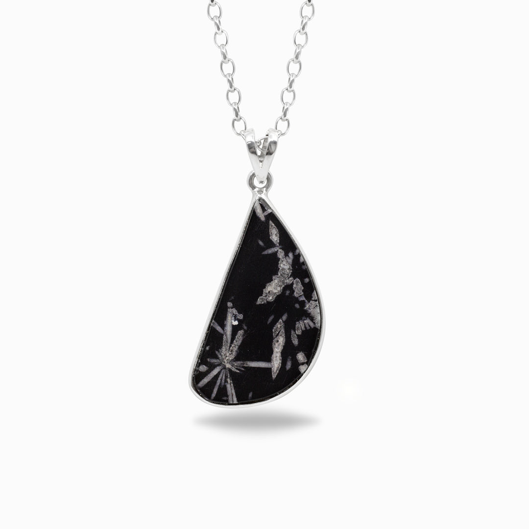 Freeform black stone pendant on a silver chain against a white background