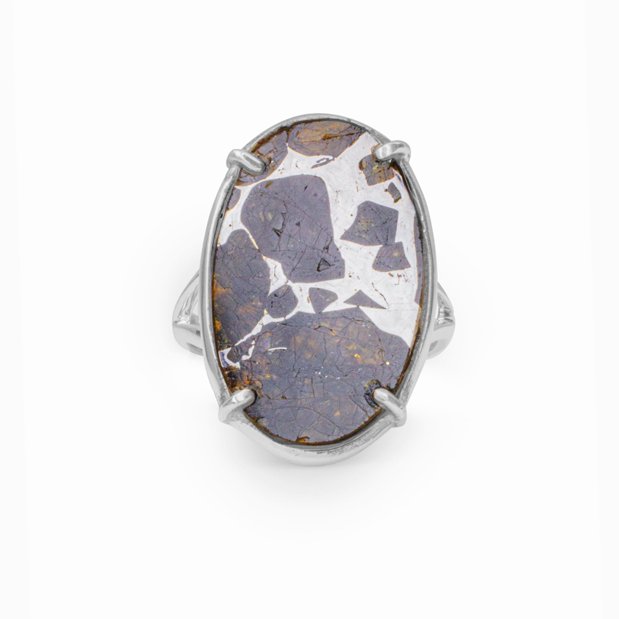 pallasite ring
