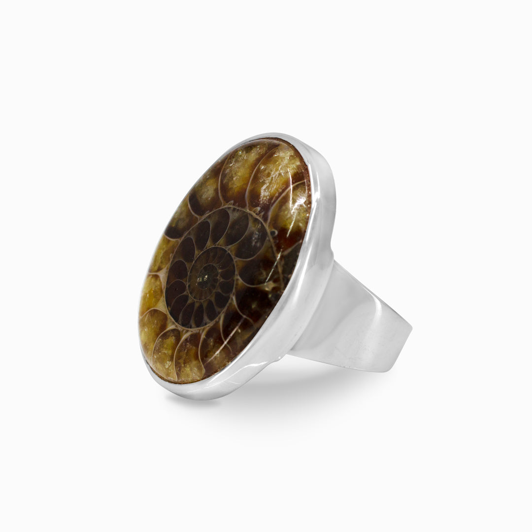 Ammonite Ring
