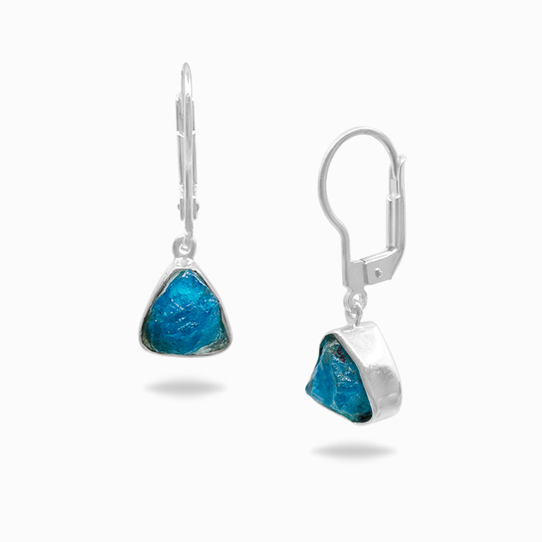 Pair of silver earrings with blue gemstones on a white background