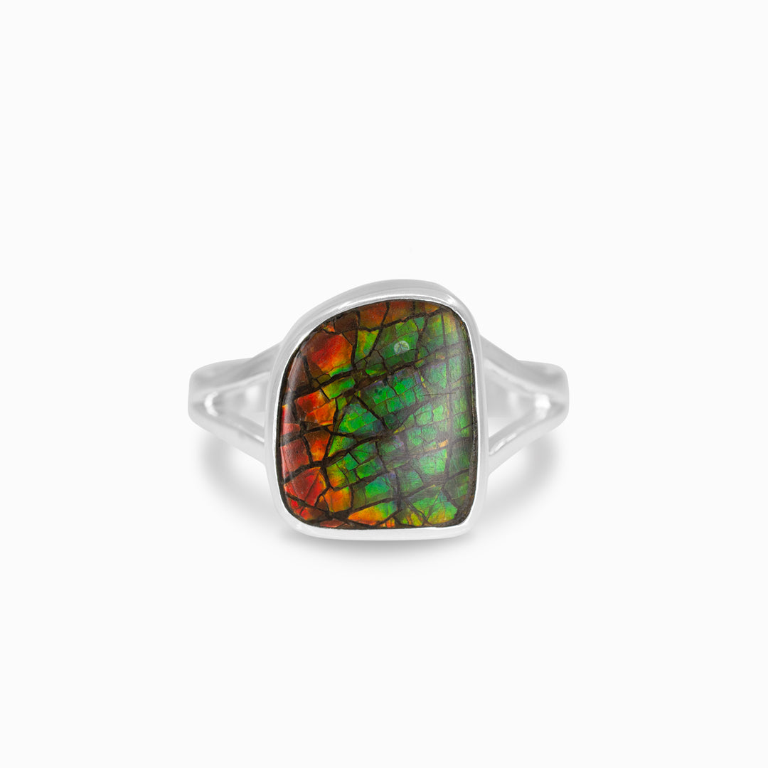 Ammolite Ring