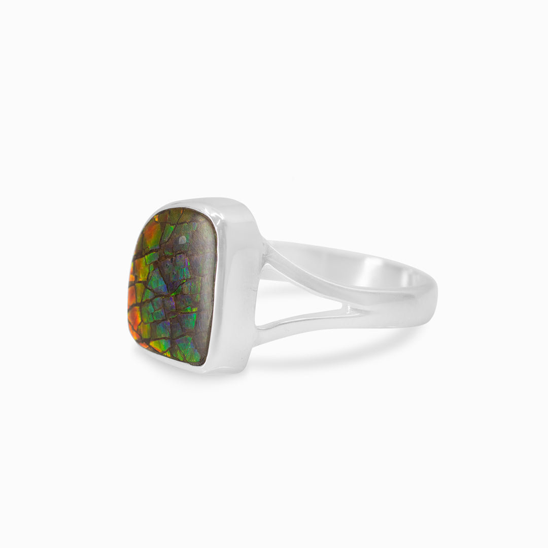 Ammolite Ring
