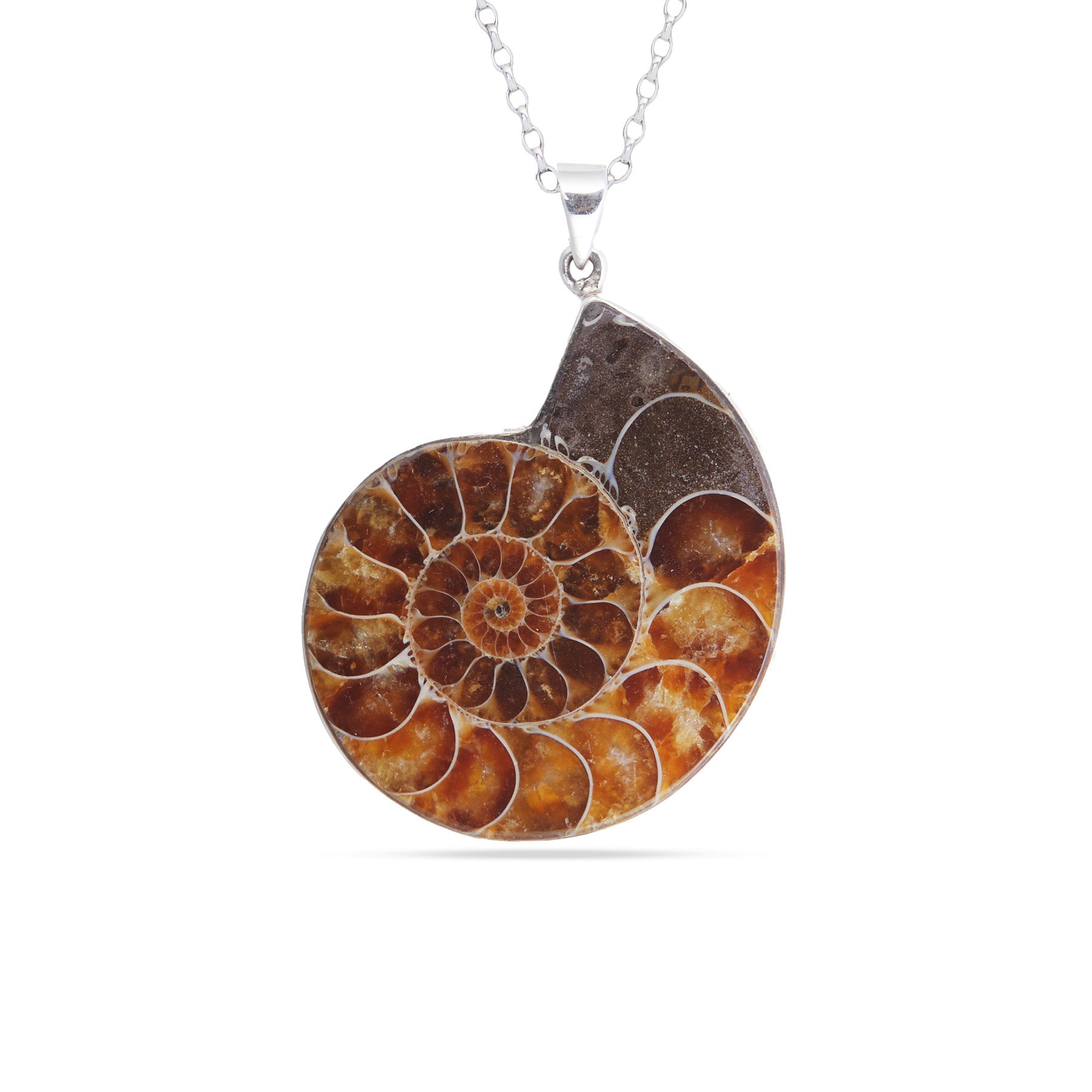 Ammonite cabochon freeform bezel Necklace
