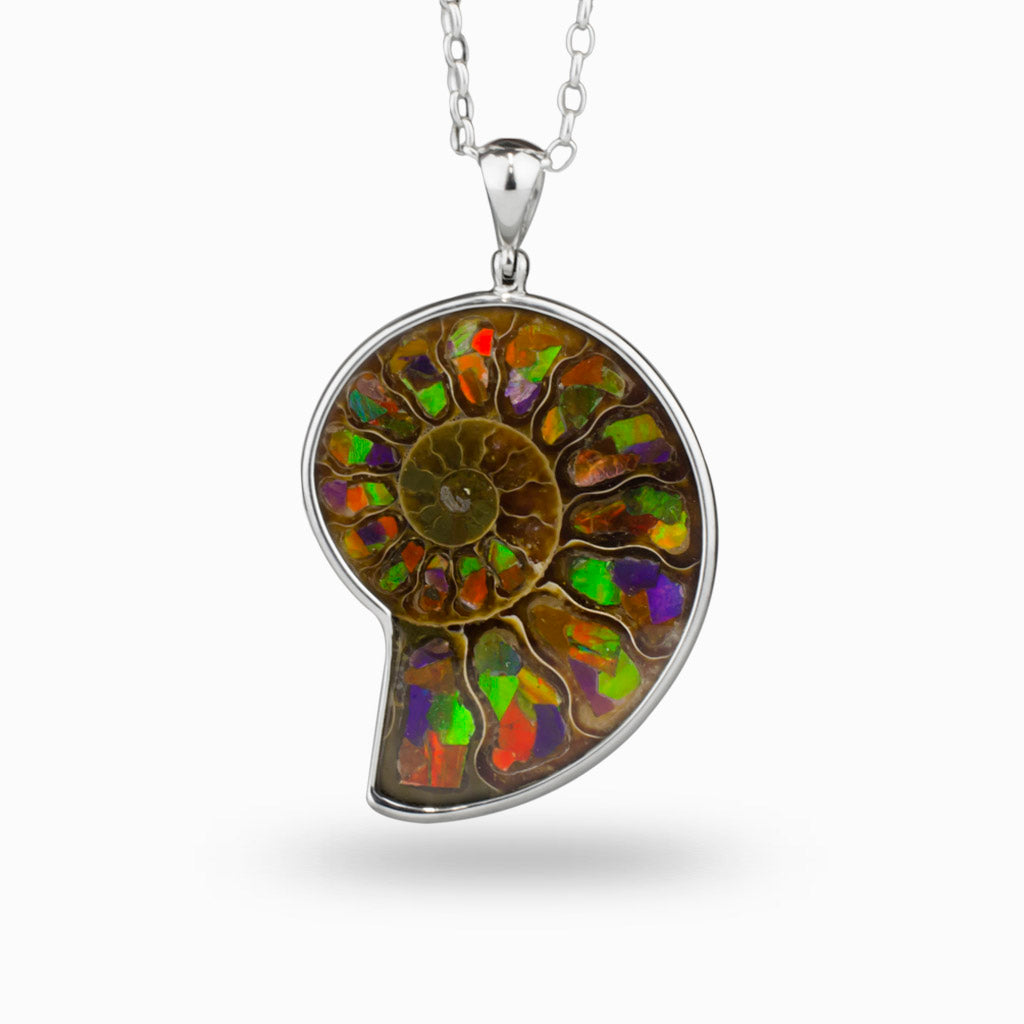 Ammolite Necklace