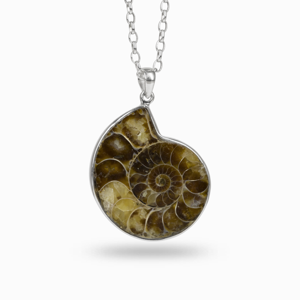 Ammonite discount necklace pendant