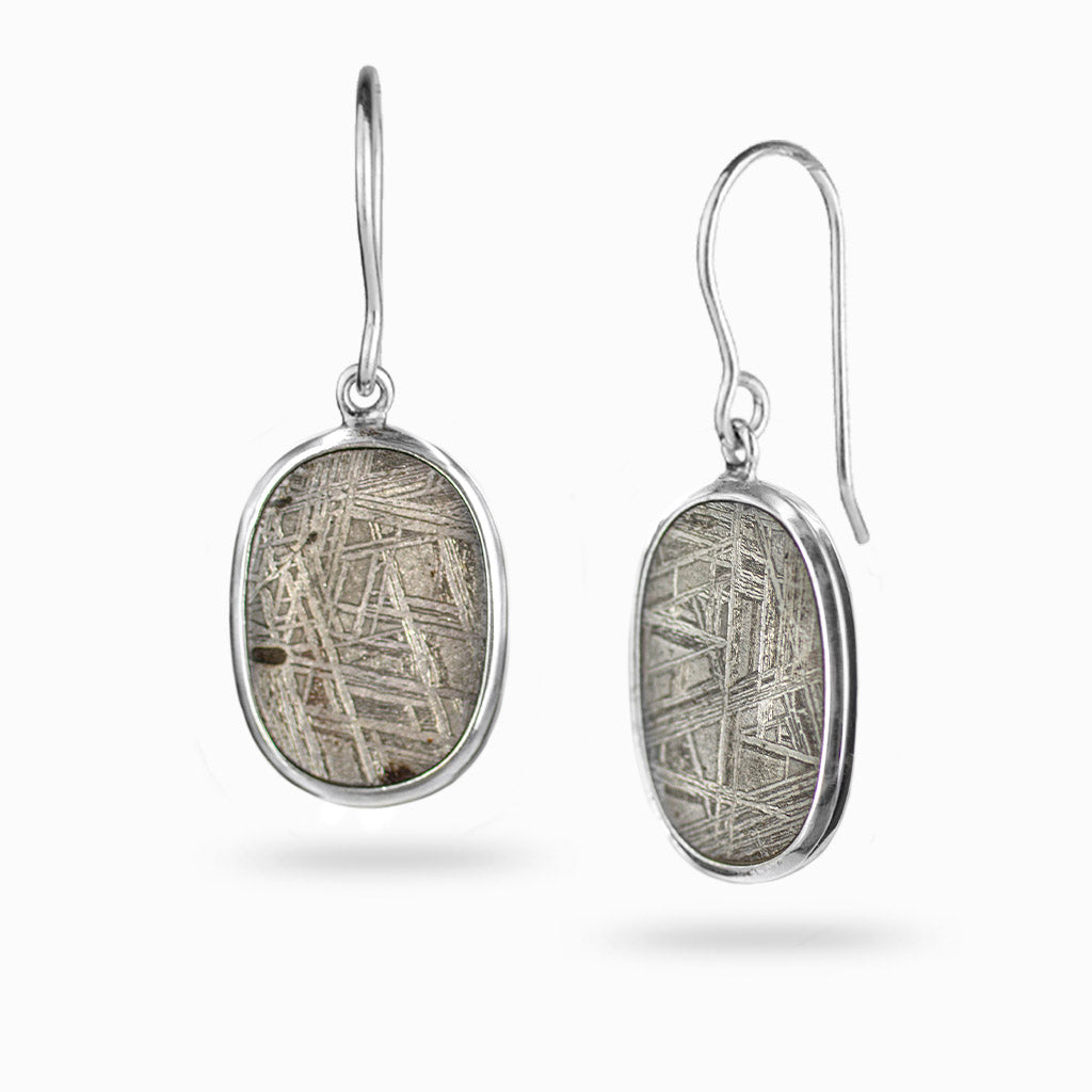 Gibeon Meteorite Drop Earrings