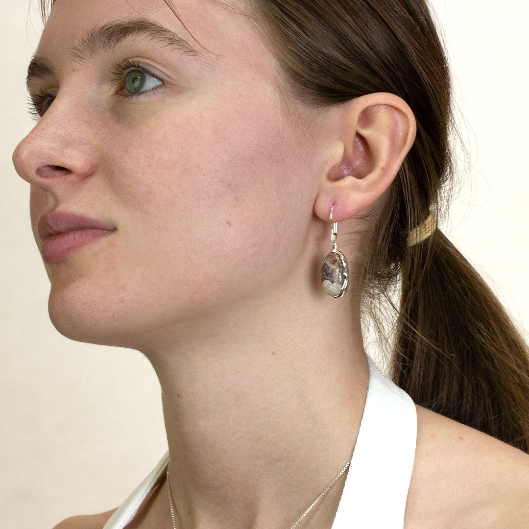 Crazy Lace Agate Drop Earrings