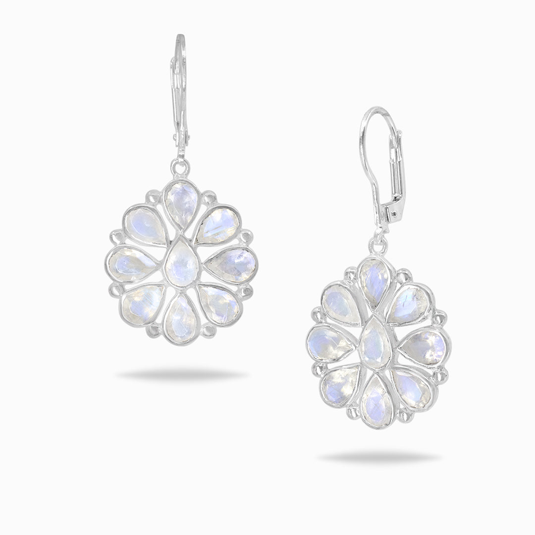 Rainbow Moonstone Drop Earrings
