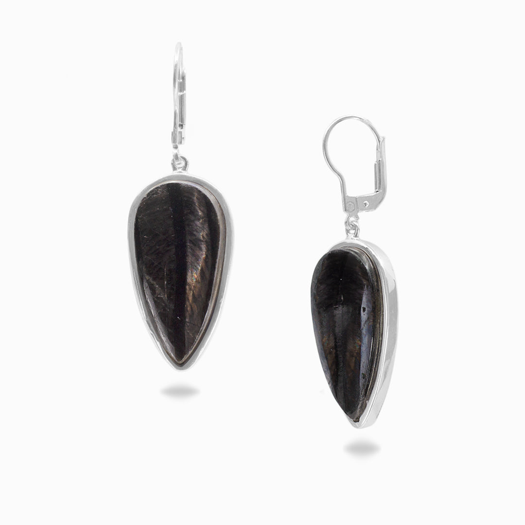 Hypersthene Drop Earrings