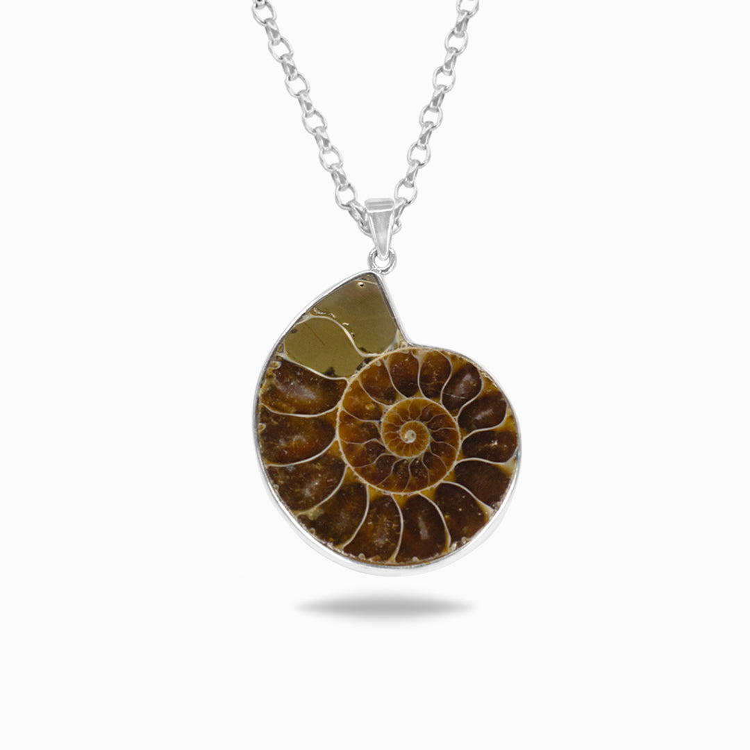 Ammonite fossil pendant on a silver chain against a white background
