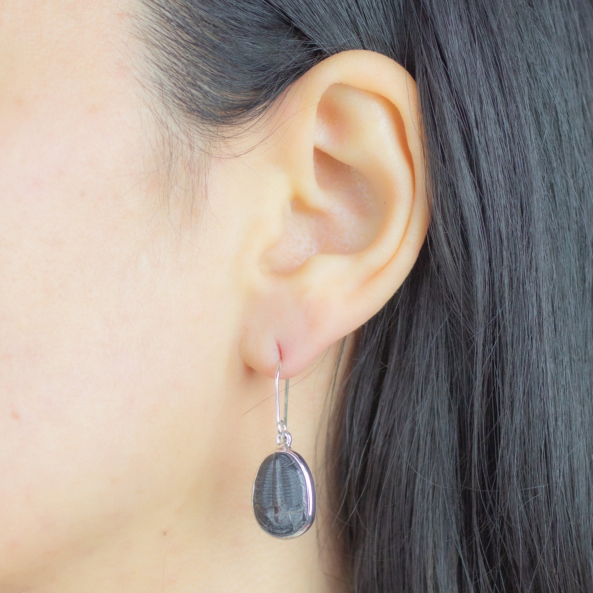 Trilobite Drop Earrings