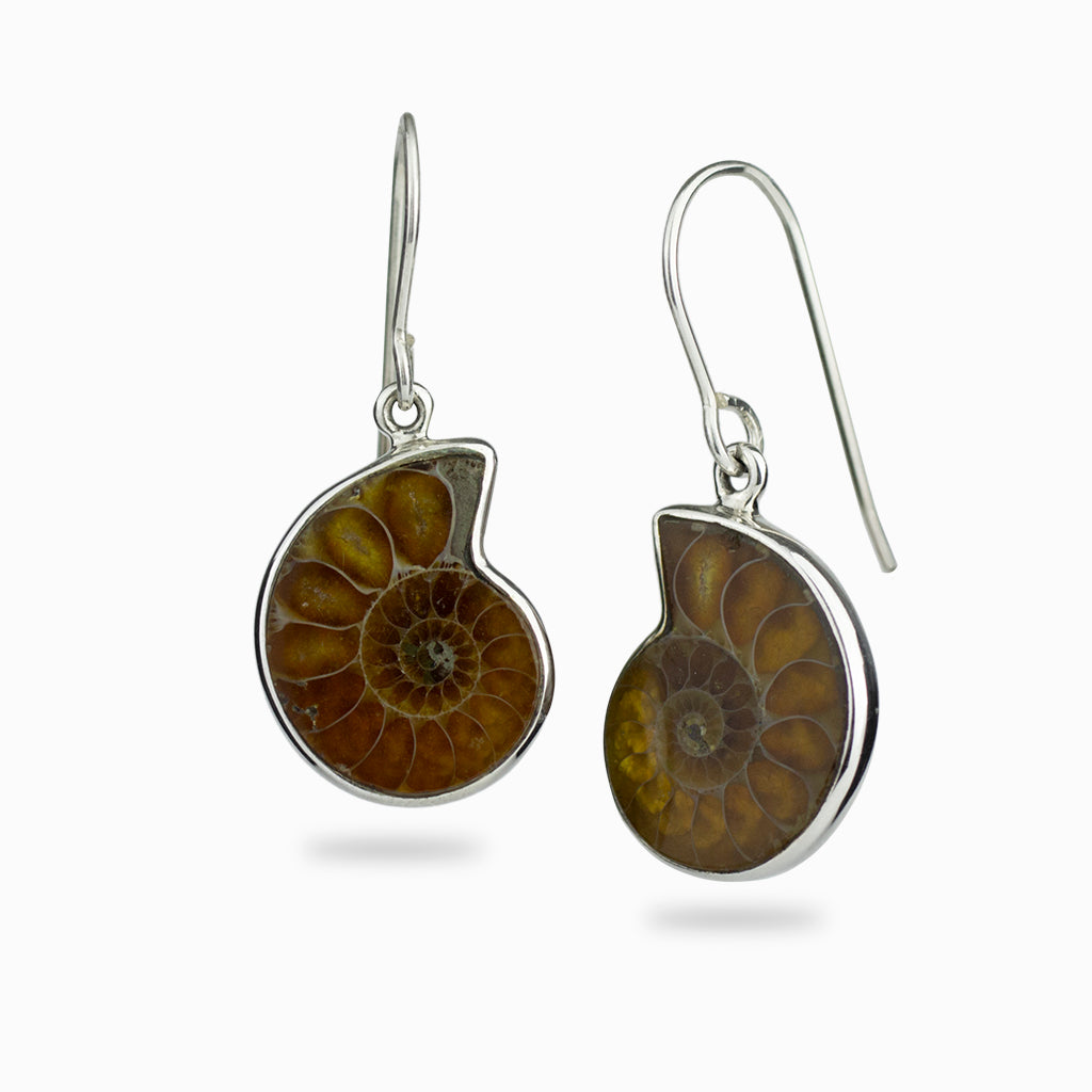 Ammonite hook drop earrings