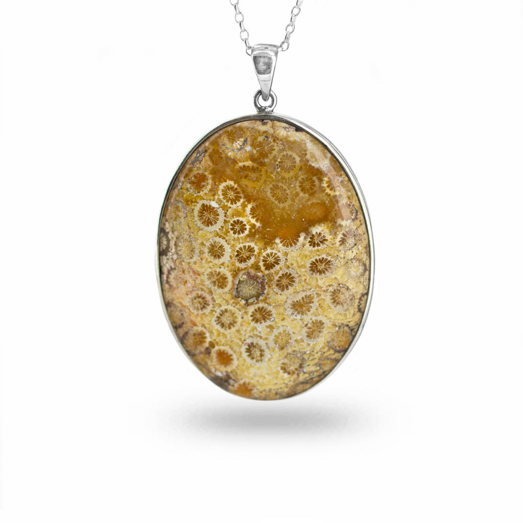 Fossilised Coral Necklace