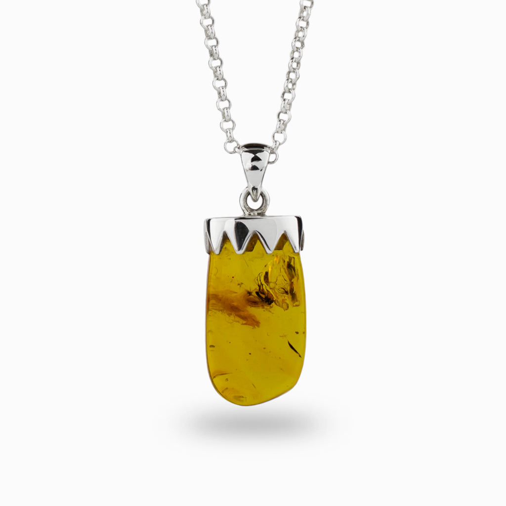 Raw Insect in Amber Necklace in silver